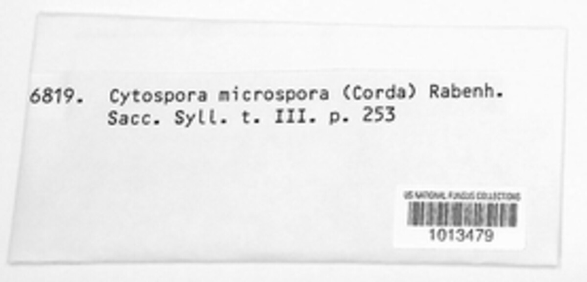 Cytospora microspora image